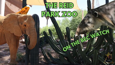 BEC Watch Entries: #26 Reid Park Zoo