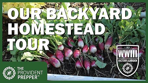 WWIII Victory Garden: Mid-June Tour of the Provident Preppers' Backyard Homestead