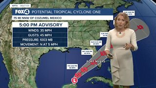Potential tropical cyclone one