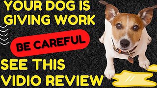 Brain Training For Dogs Review Beware