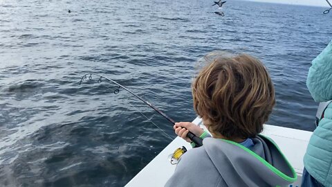 11 year old on a rockfish