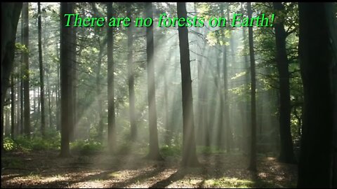 THERE ARE NO FORESTS ON FLAT EARTH WAKE UP! (TREES ARE FAKE ON FLATTARD EARTH)