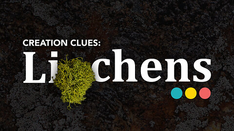 What lichens teach us about the Holy Spirit [CREATION CLUES S01E01] #christian #lichens #holyspirit