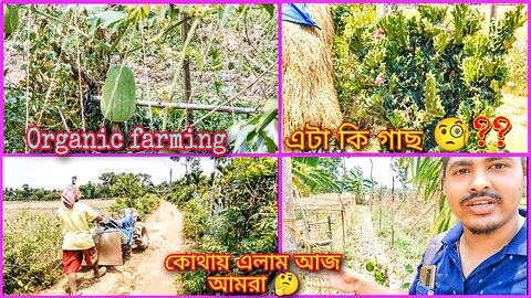 এ কোথায় এলাম আজ আমরা 🤔 | এটা কি গাছ 🧐??.. Organic সব শাক সবজি চাষ হয় এখানে 🎋🌴🎋..#ফার্মিং #farming