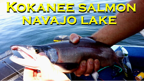 Kokanee salmon fishing, Navajo Lake with homemade glow lures