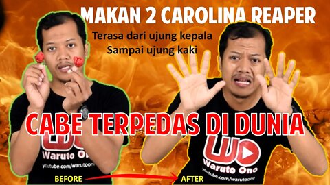 Nyobain Cabai Terpedas di Dunia, Carolina Reaper Challenge