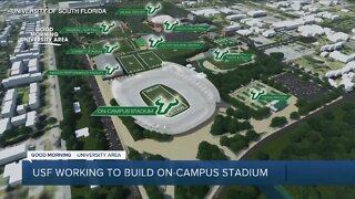 On-campus football stadium part of USF's new master plan