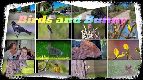 Birds and Bunny Nomad Outdoor Adventure & Travel Show Vlog1950