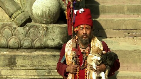 Old Nepali Man Holding Puppies on Stone Steps