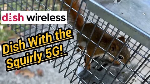 Dish 5G & Project Genesis: Some Squirrelly Network Testing!