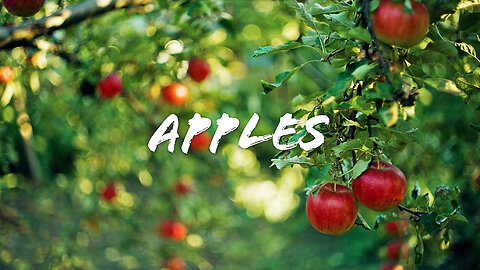 FOODIE || Farm-To-Table: Apples (2023)