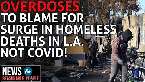 L.A. Homeless Death Rates Spike Due to Overdoses, Not COVID-19, Reports Show