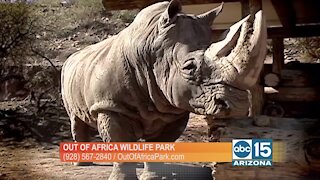 Out of Africa Wildlife Park: Meet Jericho the rhino