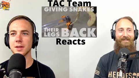 "giving snakes they're legs back" - TAC Team Reacts