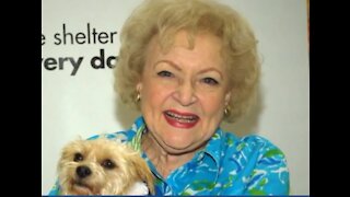 South Florida animal shelters benefit from Betty White Challenge