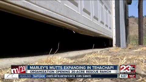 Marley's Mutts Dog Rescue buys property for rescue ranch