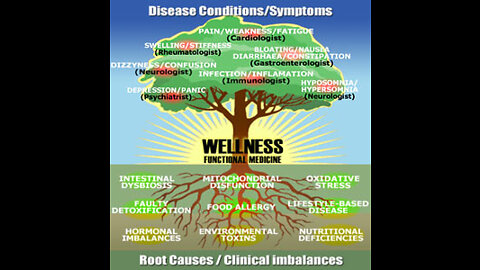 NutriMeds Elimination of Acidosis and Disease Frequencies Tom Armstrong and Dr Robert O Young PhD