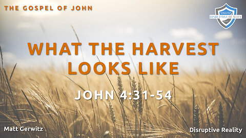 What the Harvest Looks Like – John 4:31-54