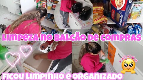 Limpeza e organização no Gabinete do Armário antes de fazer Compras //Canal da Mili