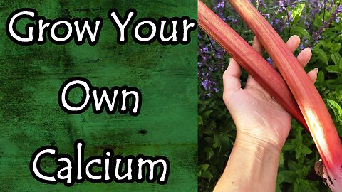 Grow Your Own Calcium
