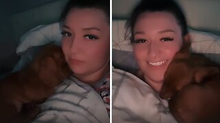 Heartwarming moment as affectionate pup sleeps on owner's chest