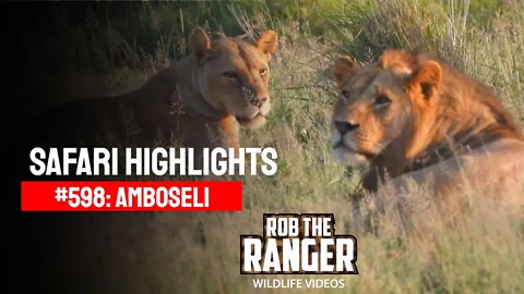 Safari Highlights #598: 07 March 2021 | Amboseli/Zebra Plains | Latest Sightings