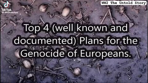 The top 4 plans for the genocide of Europeans