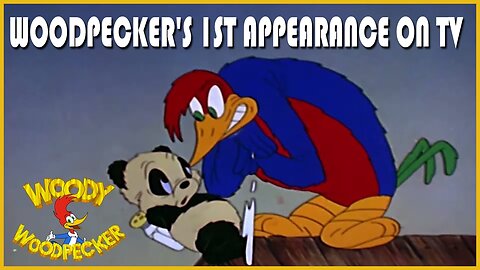 Find out what the woodpecker's first appearance on TV was like