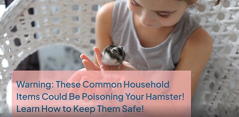 Warning: These Common Household Items Could Be Poisoning Your Hamster! Learn How to Keep Them Safe!