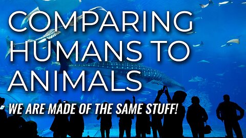 Are Humans Animals?