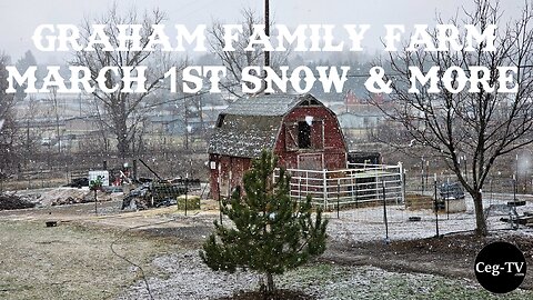 Graham Family Farm: March 1st Snow & More