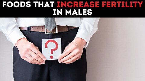 Foods That Increase Fertility In Males