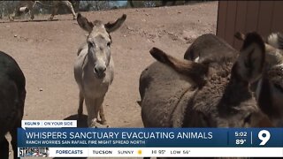 Dozens of people evacuated, livestock still a concern in San Rafael Fire