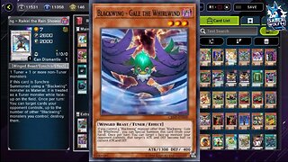 Yugioh Master Duel Blackwing Deck!!