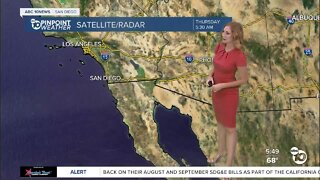 ABC 10News Pinpoint Weather with Meteorologist Leah Pezzetti