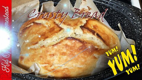 Crusty Bread Recipe