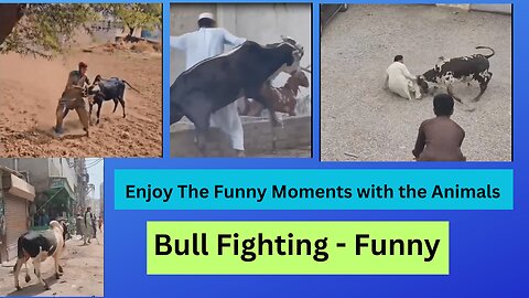 What is Happening?? Watch the Funny Animal Catching Moments