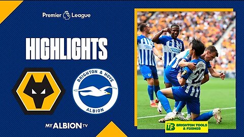 Wolves vs Brighton 1-4 Highlights Goals | Premier League 2023/24