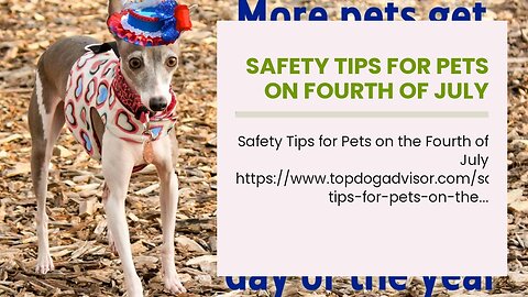 Safety Tips For Pets on Fourth of July