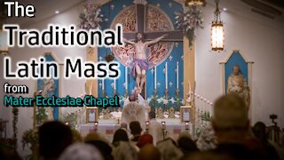 Traditional Latin Mass - Fri, July 30th, 2021