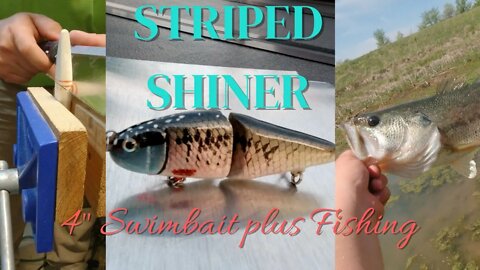 Striped Shiner Swimbait
