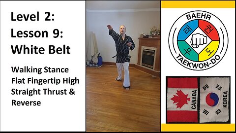 Baehr Taekwondo: 02-09: Yellow Stripe: Walking Stance - Flat Fingertip High Straight Thrust