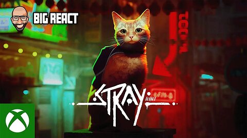 Stray - Coming to Xbox August 10 React