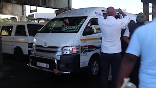 SOUTH AFRICA - Cape Town- MEC Madikizela in Mitchell's plain Taxi RankVideo) (3rW)