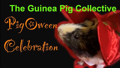 The Guinea Pig Collective Pigoween Celebration Current and Past