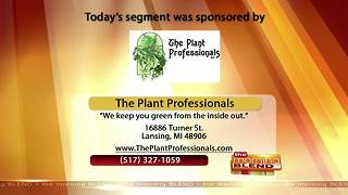 The Plant Professionals - 11/07/17