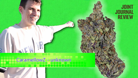Kushector Joint Journal Review - CaramellowZ by: unknown