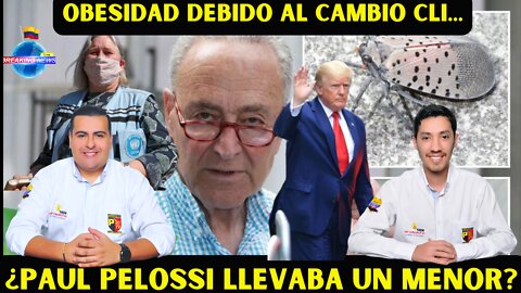 ¿ESPOSO DE PELOSI LLEVABA UN MENOR EN SU CARRO?, EL PÁNICO ACTIVA MAS DISTRACCIONES.