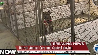 Detroit Animal Care and Control closed due to animal illness