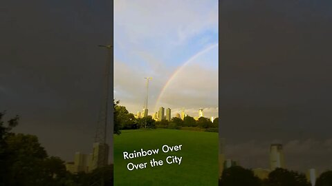 Over the Rainbow #dog #city #rainbow #pitbull #dennisalan #overtherainbow